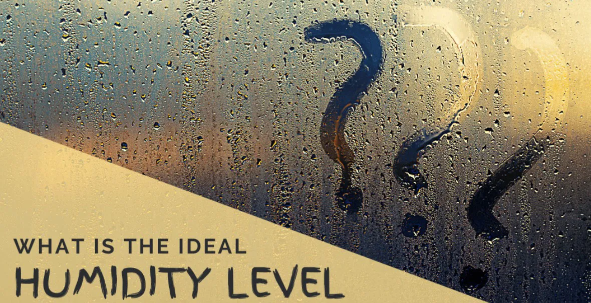What is the ideal humidity level? Condensation on a window with a question mark drawn in it