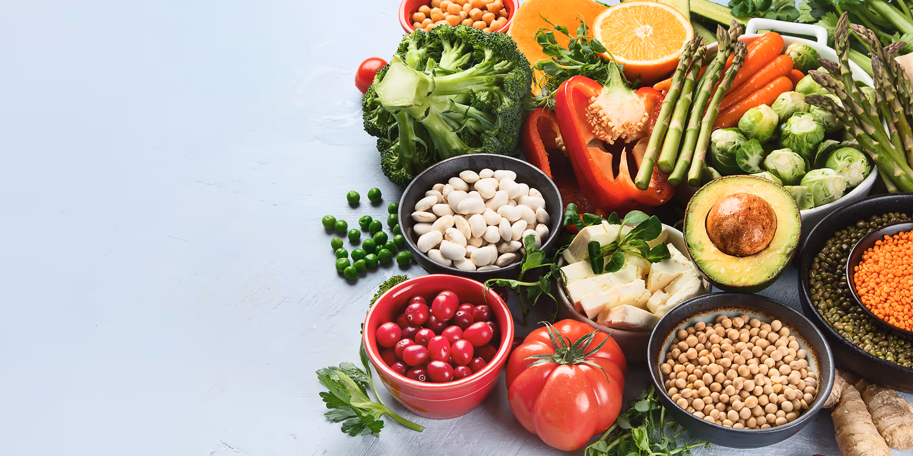 Aliments frais riches en protéines et nutriments - matières premières solutions SENES