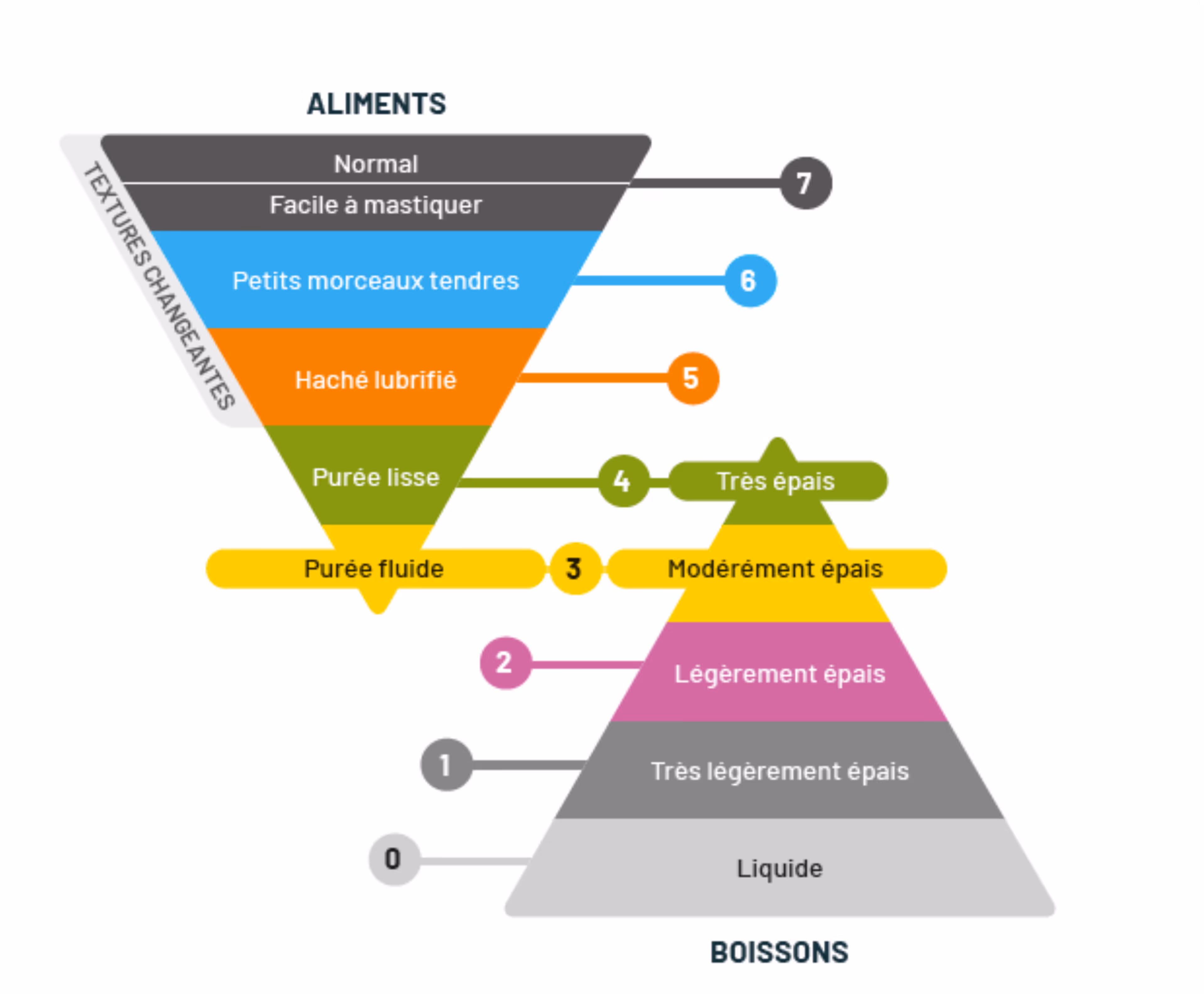 Classification textures modifiées IDDSI - guide SENES adaptation alimentaire troubles déglutition seniors