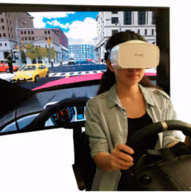 Training Simulations