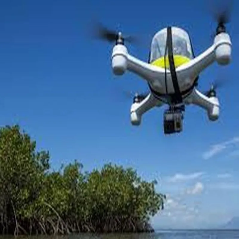 Environmental Science