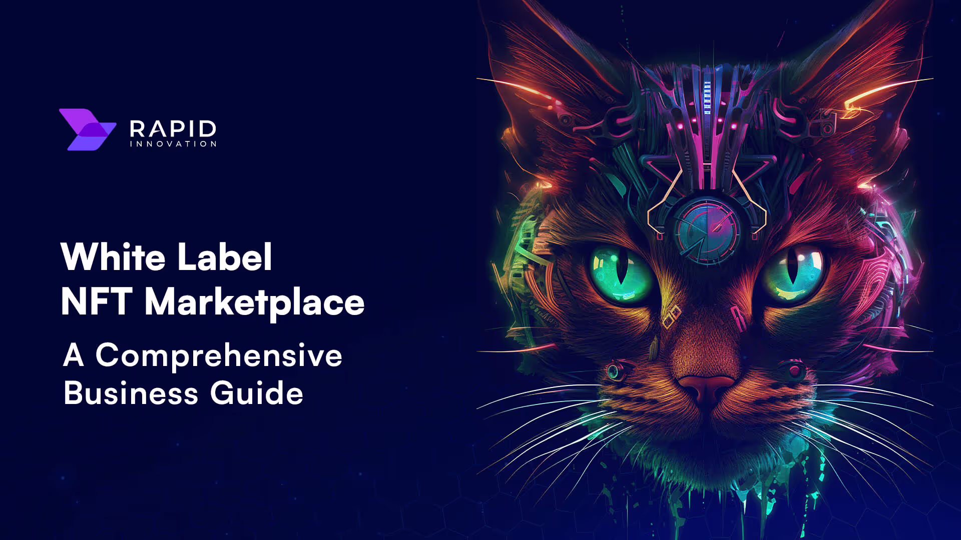 White Label NFT Marketplace: A Full Guide for Businesses