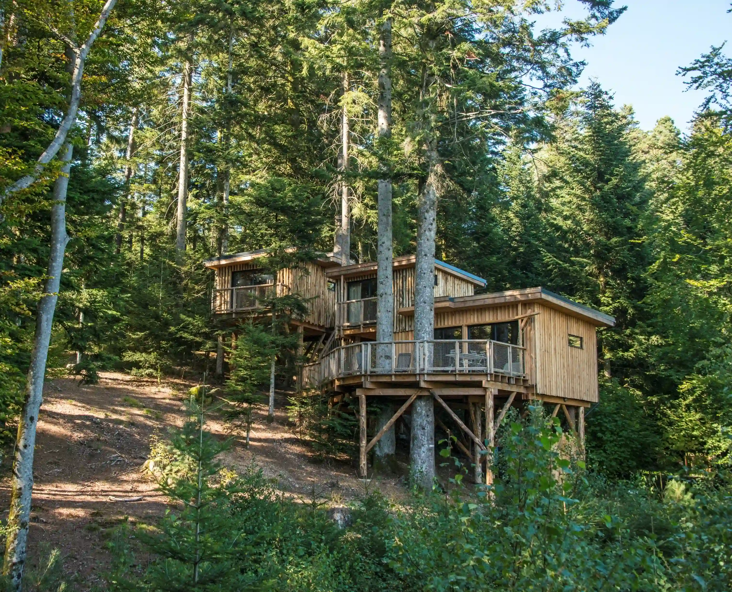 Cabanes perchées dans les arbres dans les Vosges