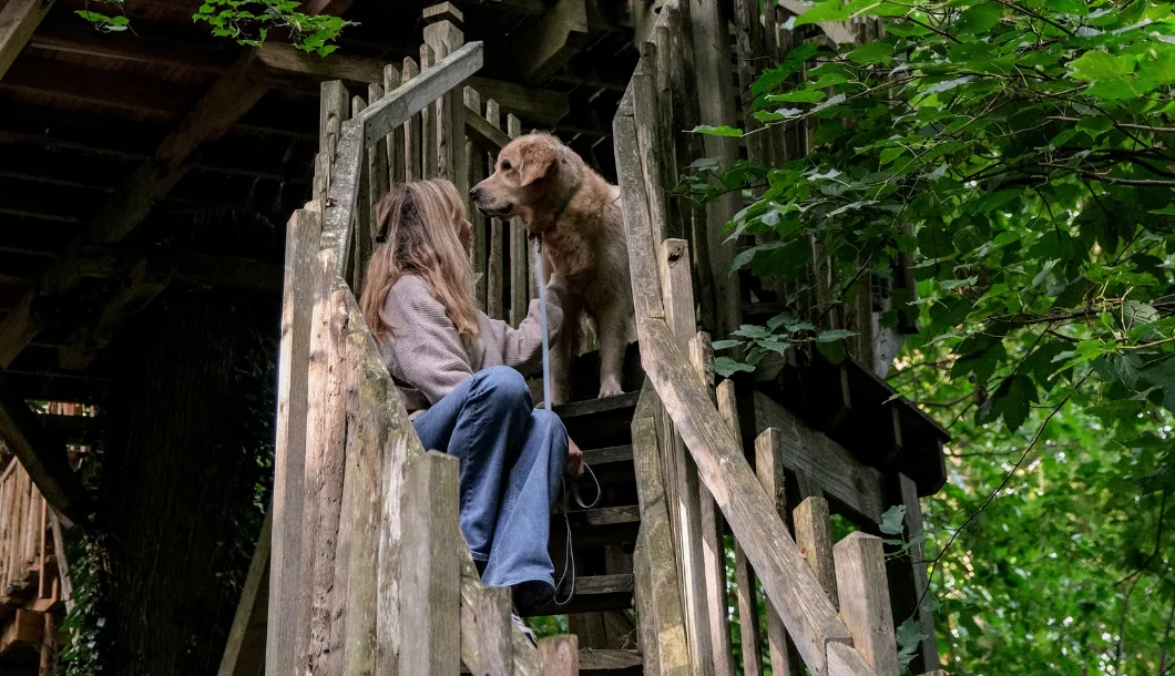 Séjour en cabane avec un chien