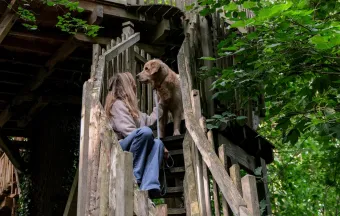 Séjour en cabane avec un chien