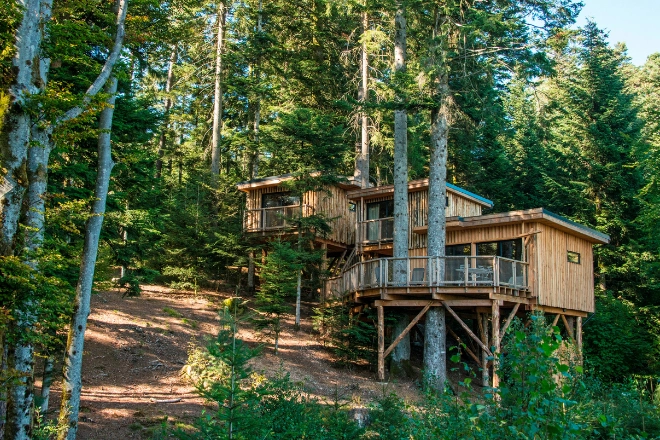 Cabanes Nids des Vosges | Coucoo Cabanes