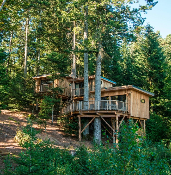 Cabanes Nids des Vosges | Séjour nature à Champdray