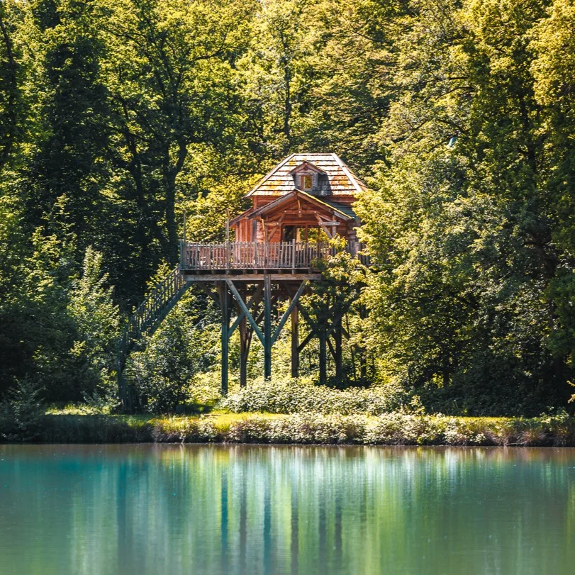 Cabanes perchées dans la nature à Belfort, pour les séminaires d'entreprise.
