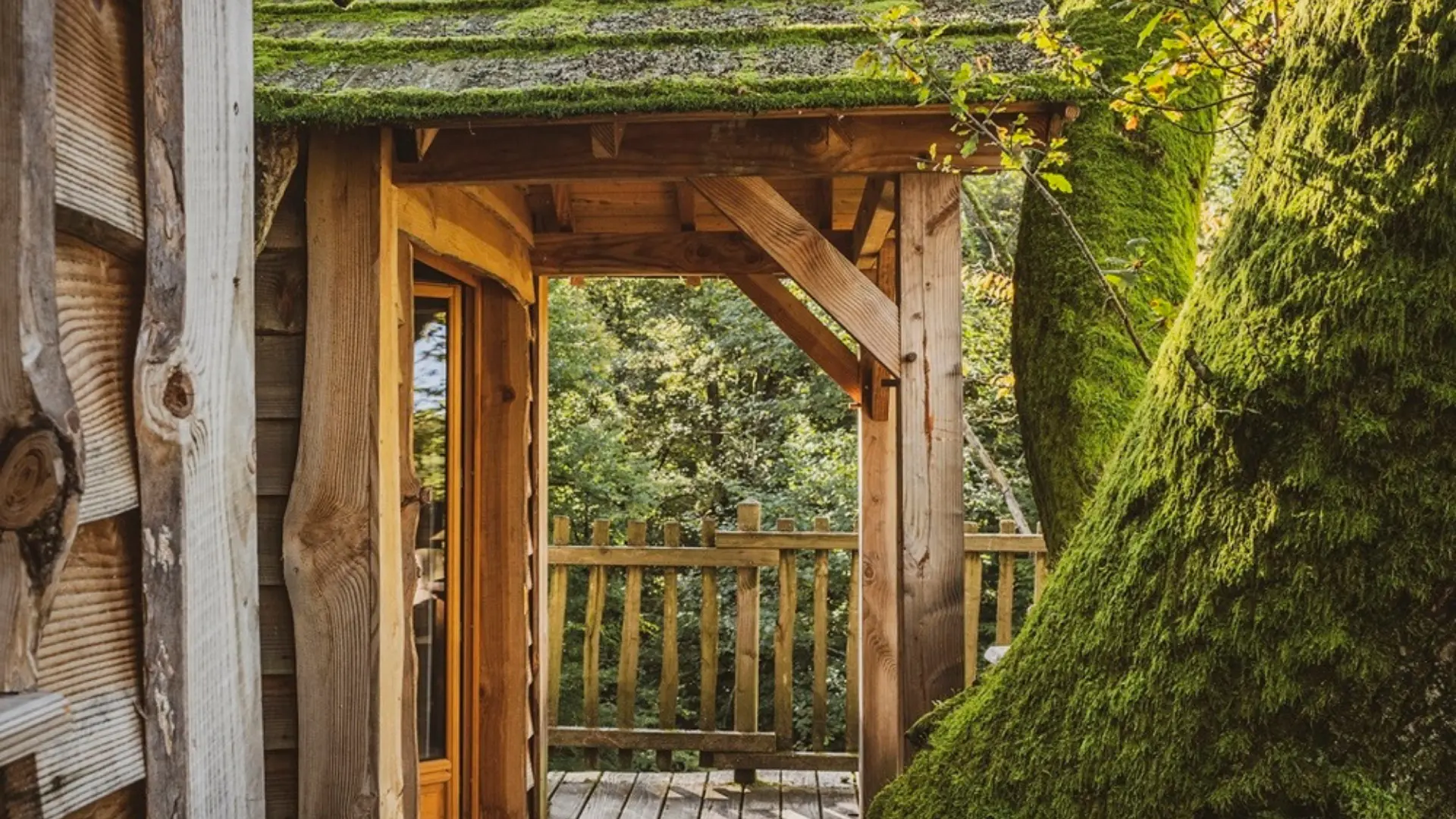 Cabane Spa Écho | Cabanes des Grands Reflets