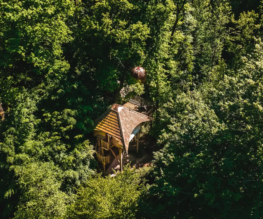 Cabane lov'nid Passion - perchée dans les arbres pour une aventure près de Belfort - Coucoo Cabanes
