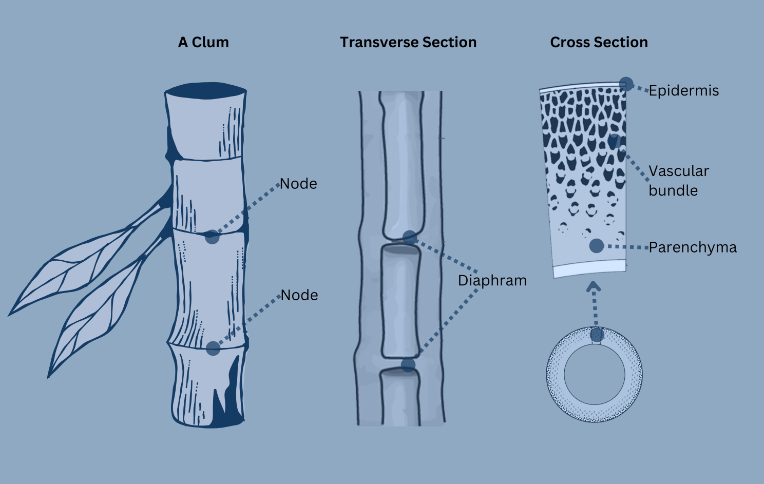 Eco-friendly bamboo construction in Lombok with Mandala Eco-Resortāsustainable, strong, and locally sourced.