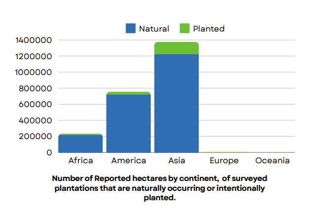 Eco-friendly bamboo construction in Lombok with Mandala Eco-Resortāsustainable, strong, and locally sourced.