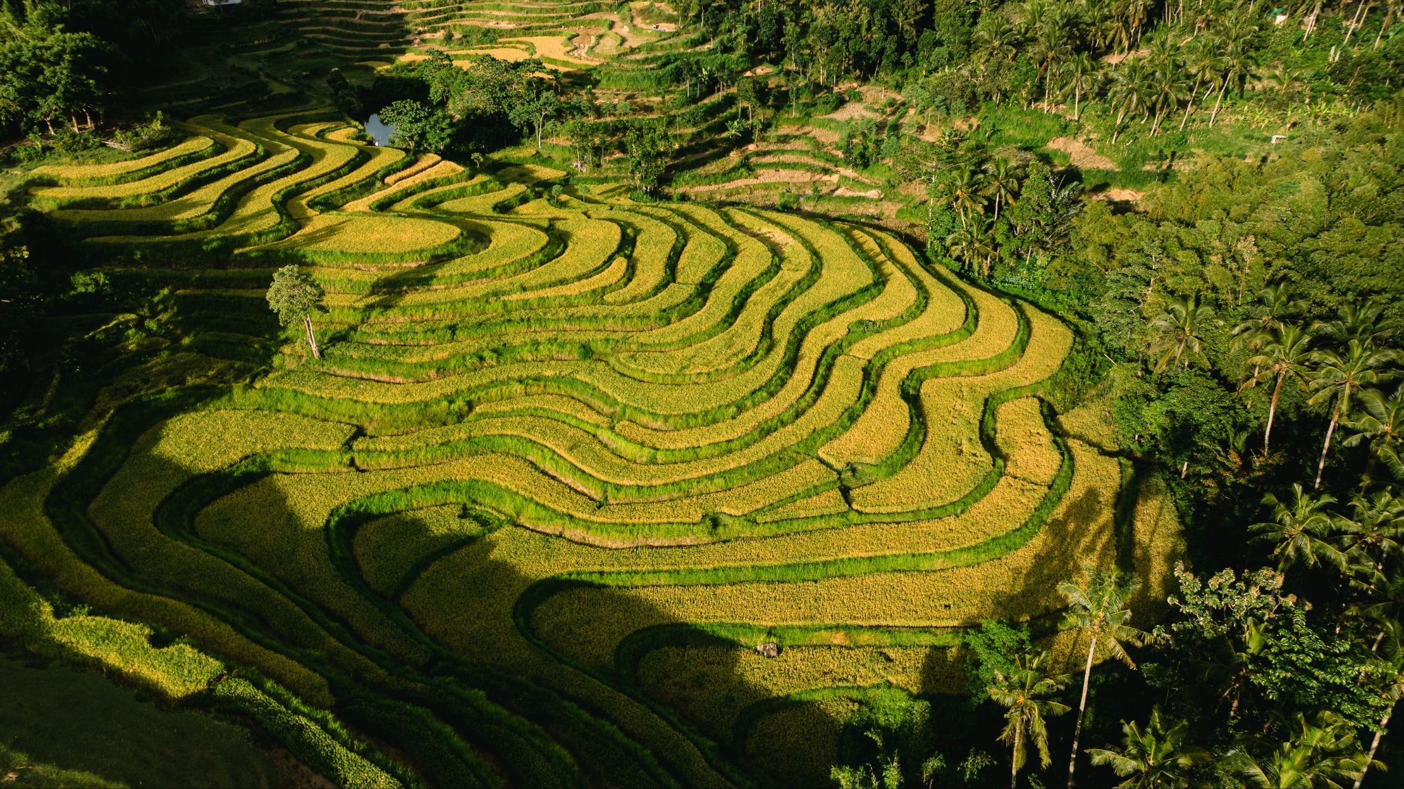 Discover Lombok