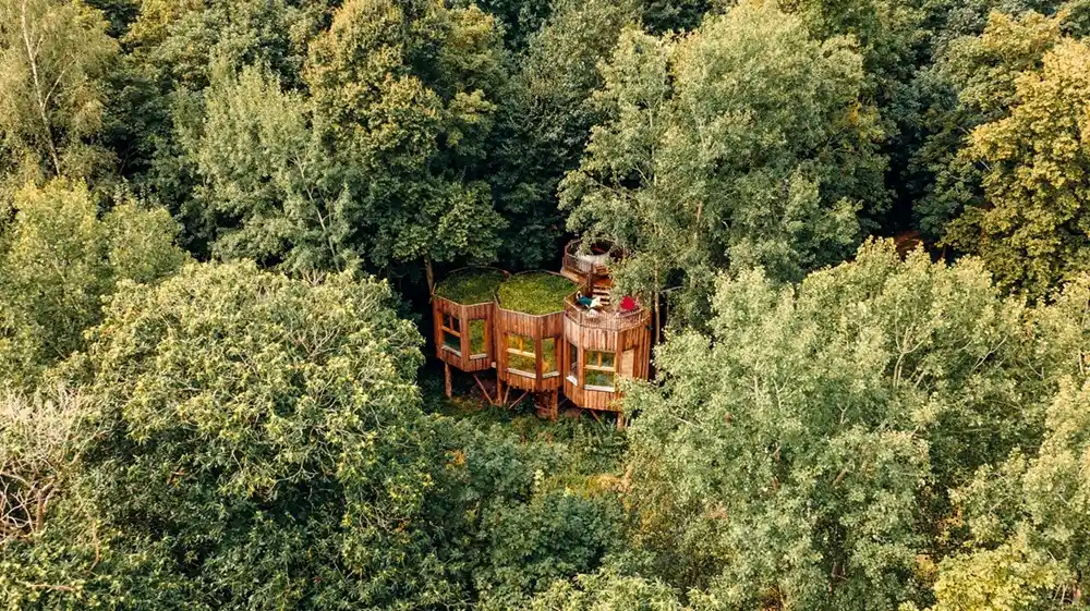 Cabane au milieu de la forêt - Domaine des Grands Chênes