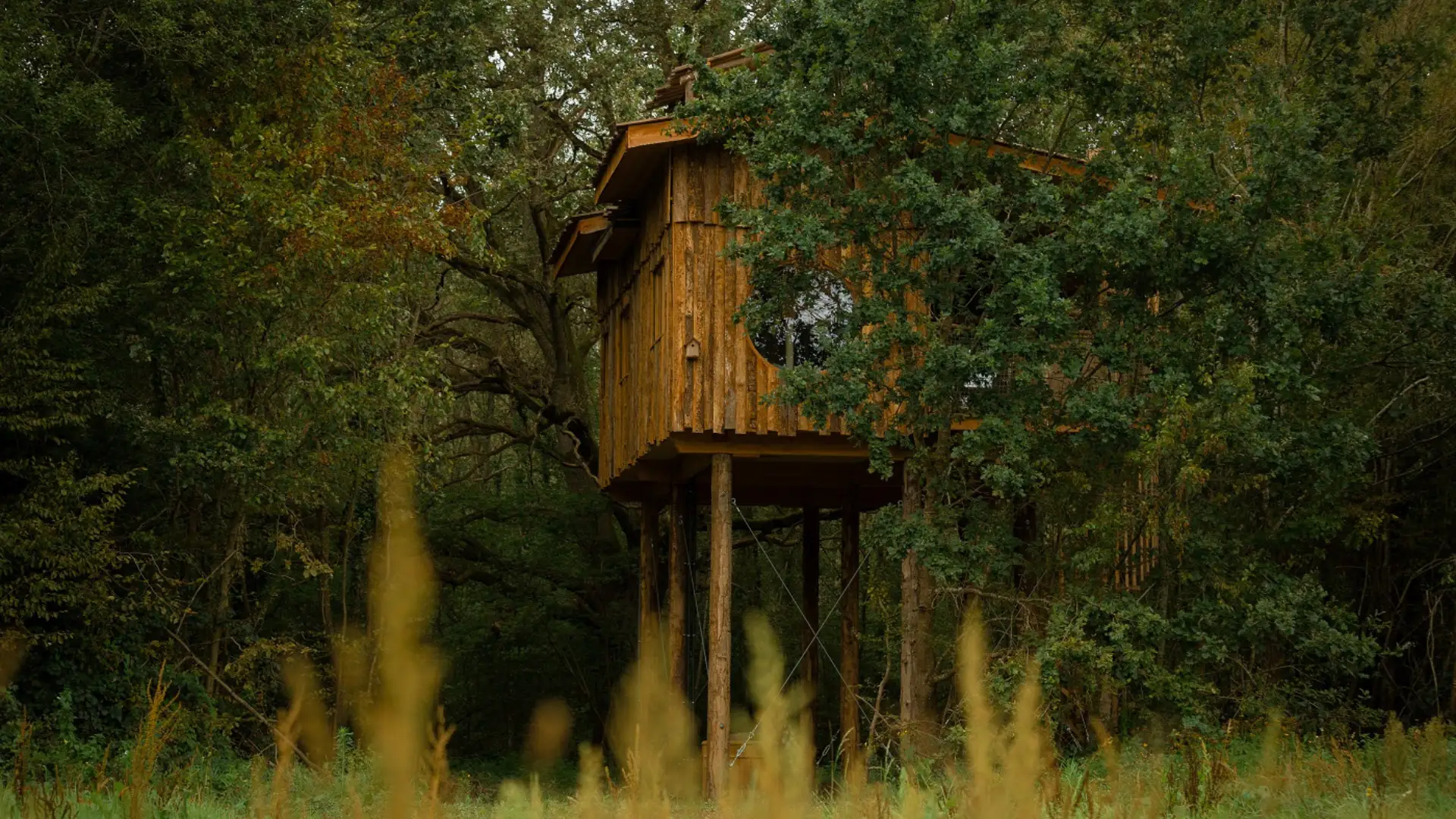 Spa École Buissonnière | Cabanes de la Réserve