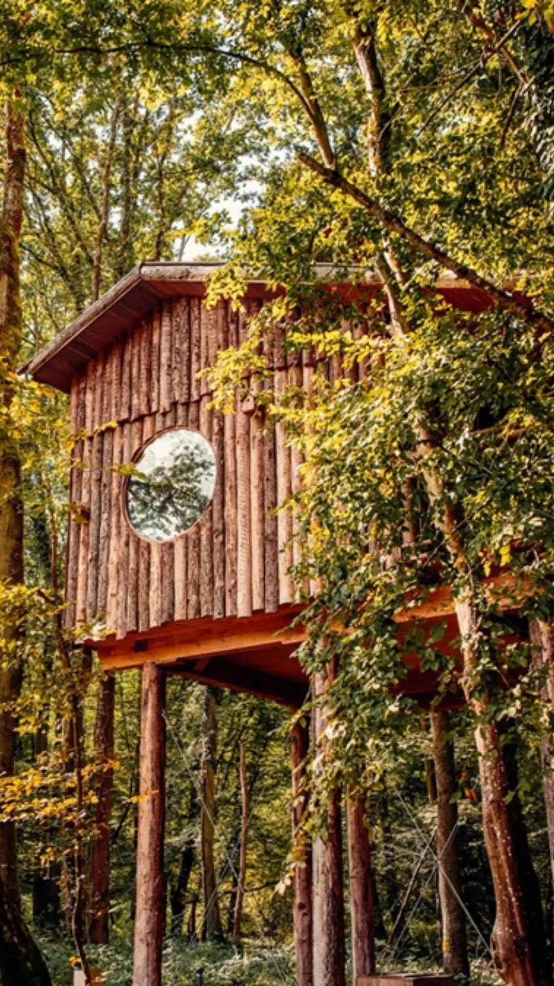 Cabane Spa Repaire Du Trappeur - Cabanes de La Réserve