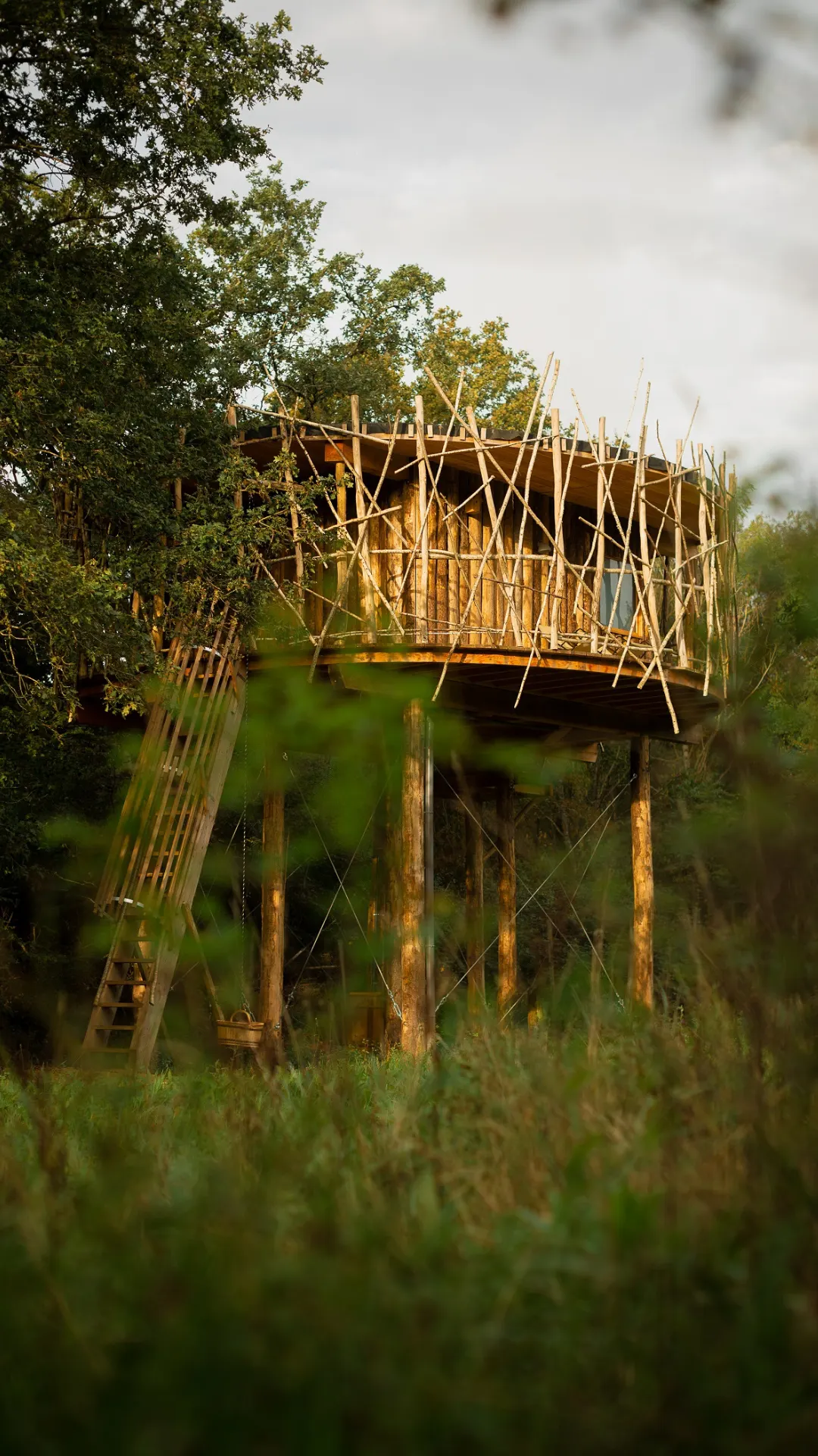 Cabane Spa Havre de Paix | Cabanes de la Réserve