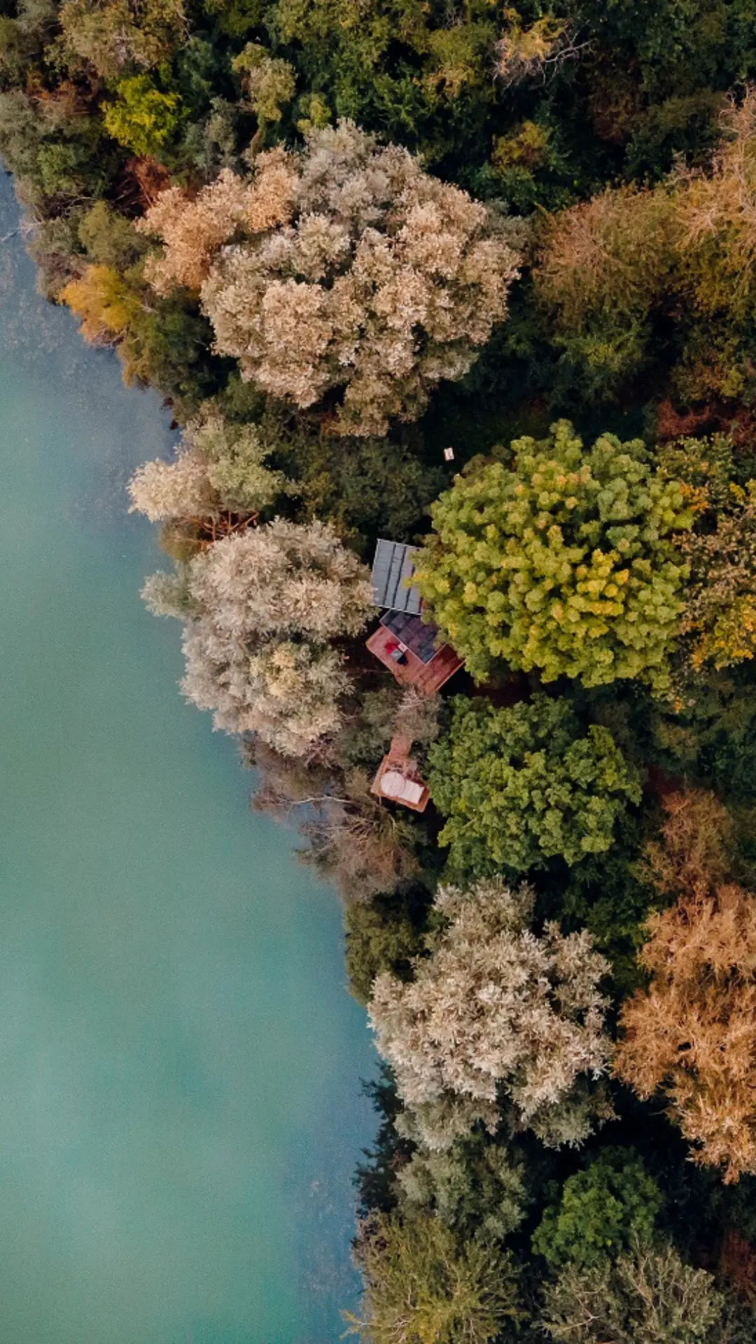 Cabane Spa Grand Horizon | Cabanes de la Réserve