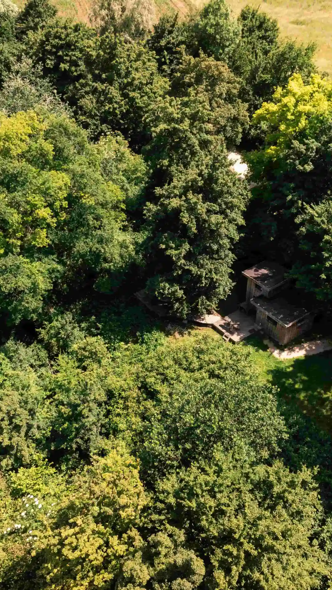 Cabane Spa Ambre | Cabanes de la Réserve