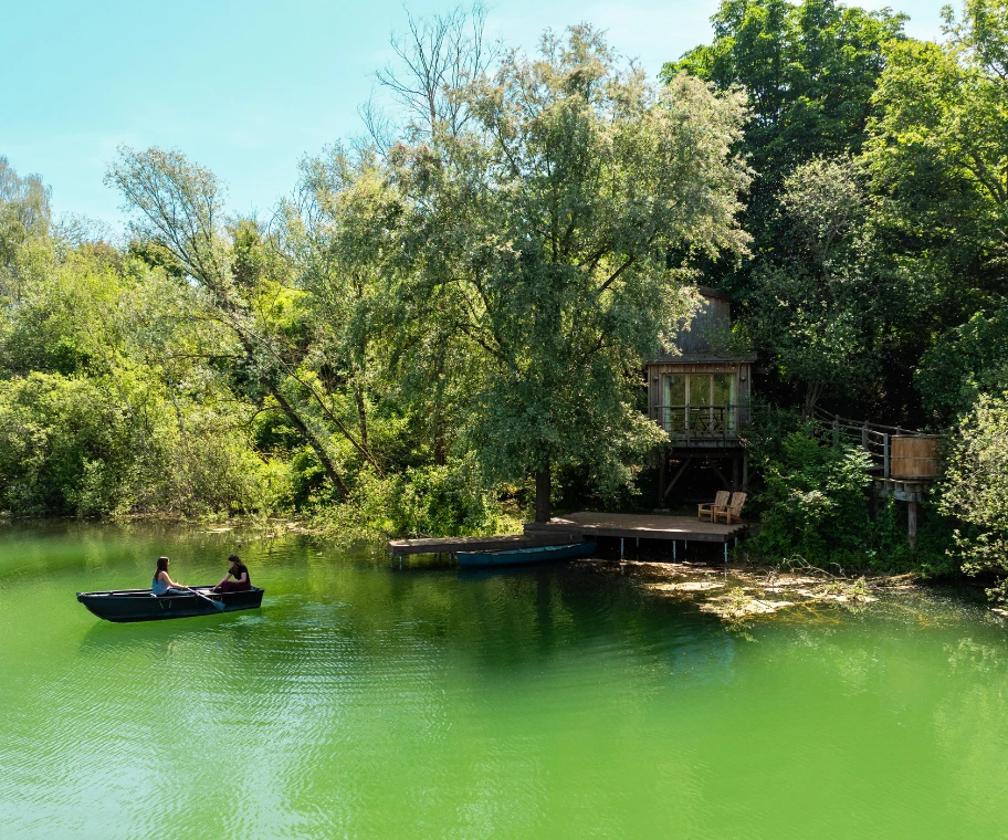 Treehouse for unusual seminars | Cabanes de La Réserve