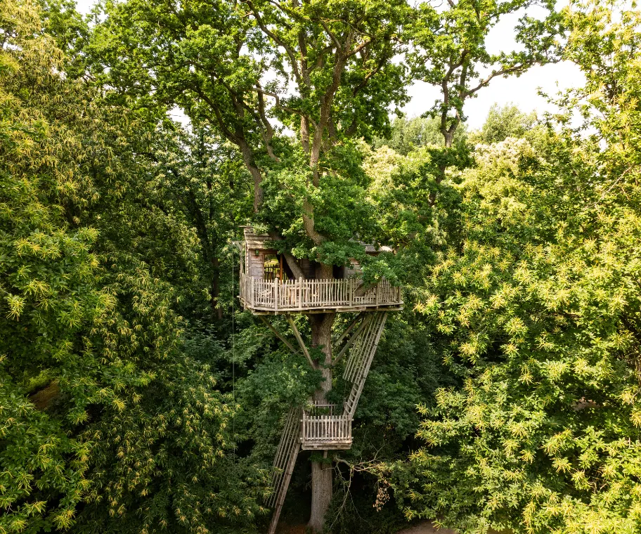 Cabane dans les arbres   - Coucoo Cabanes - Cabanes des Grands Reflets