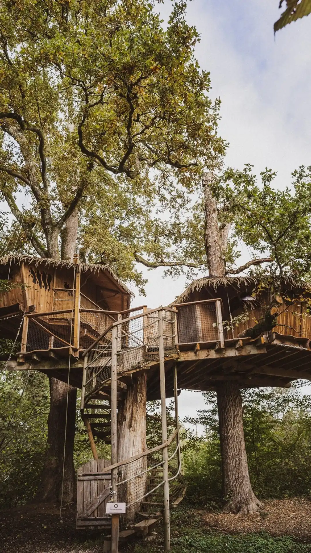 Cabane Héronnière | Cabanes des Grands Lacs