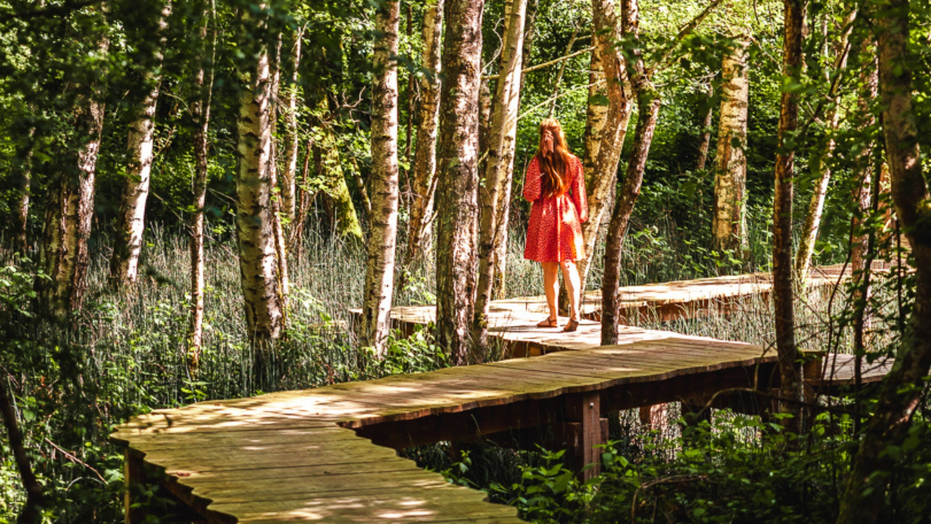 Cabane Spa Immersion | Cabanes des Grands Lacs