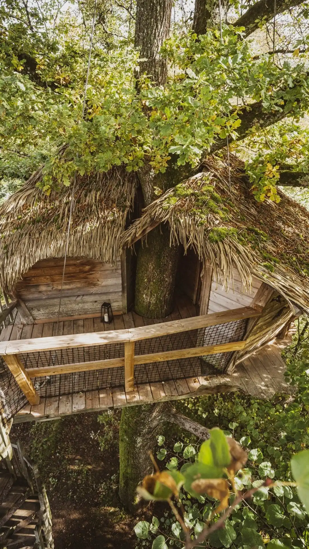 Cabane Atlantide | Cabanes des Grands Lacs