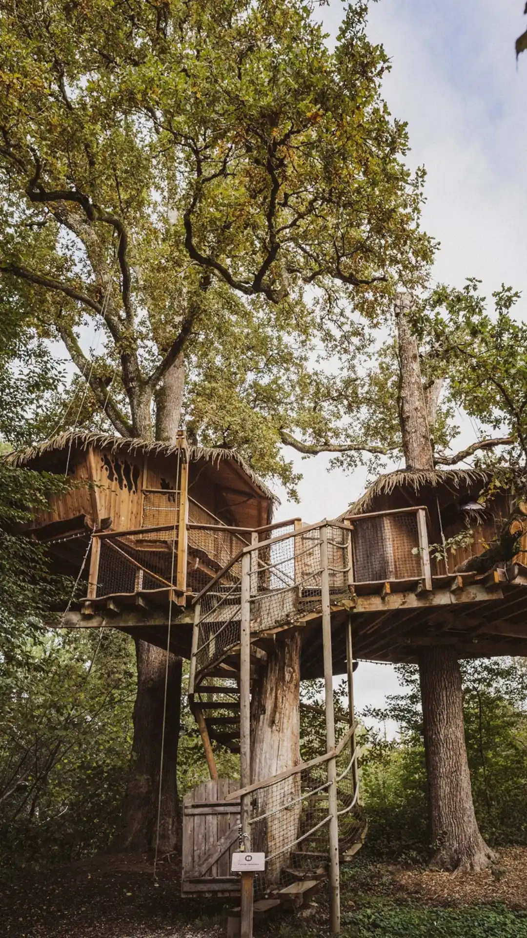 Cabane Héronnière | Cabanes des Grands Lacs