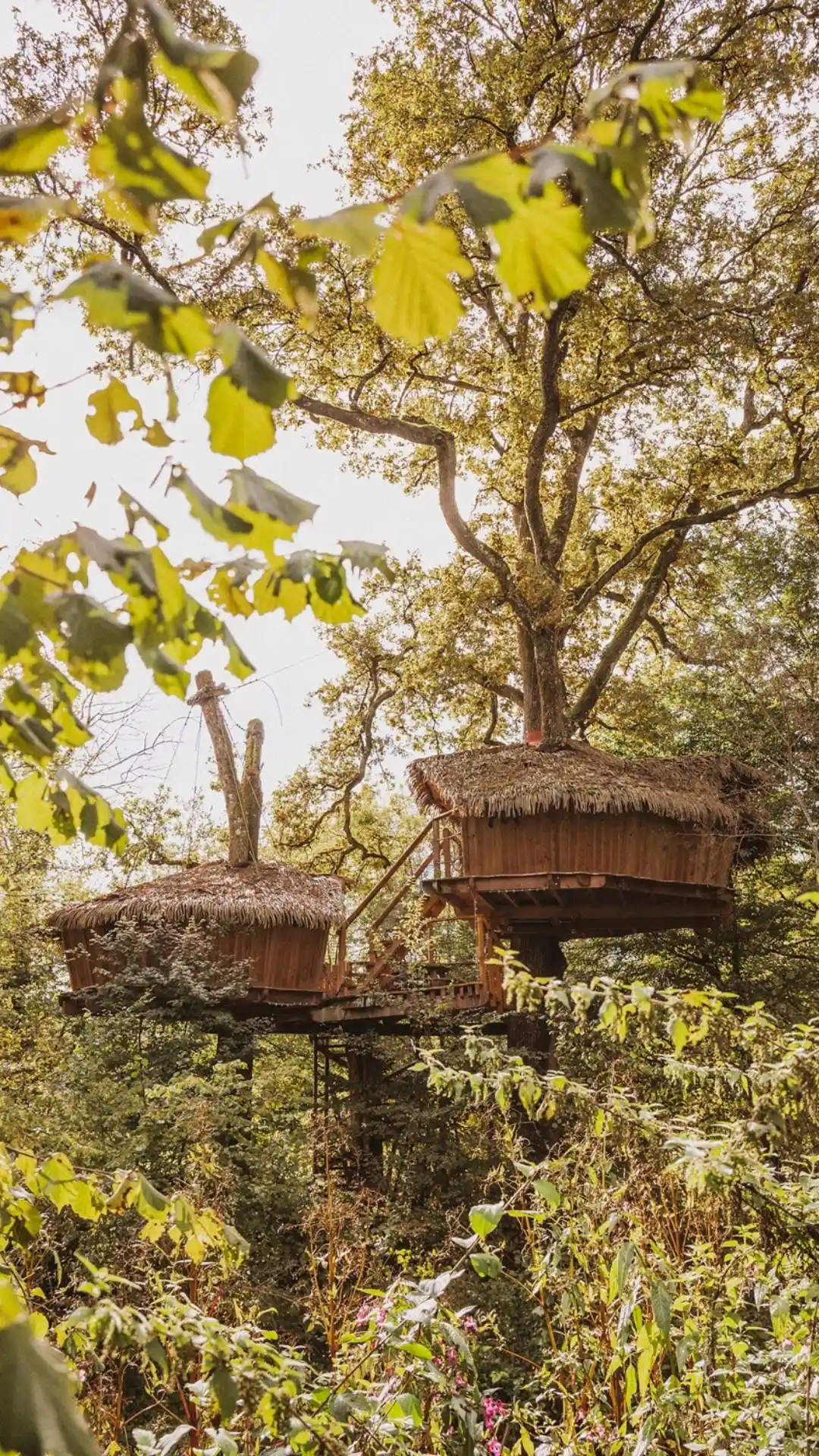 Cabane Héronnière | Cabanes des Grands Lacs
