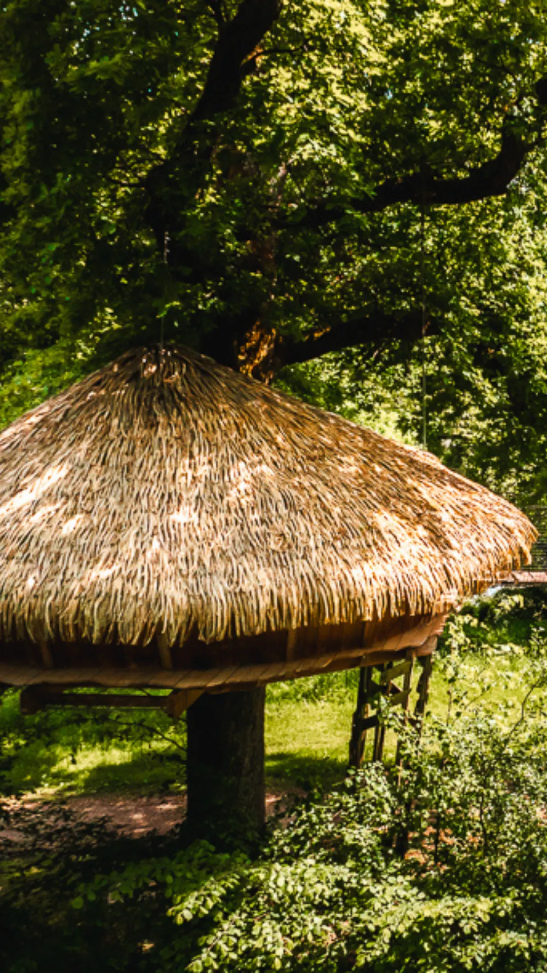 Cabane Spa Murmures | Cabanes Grands Lacs