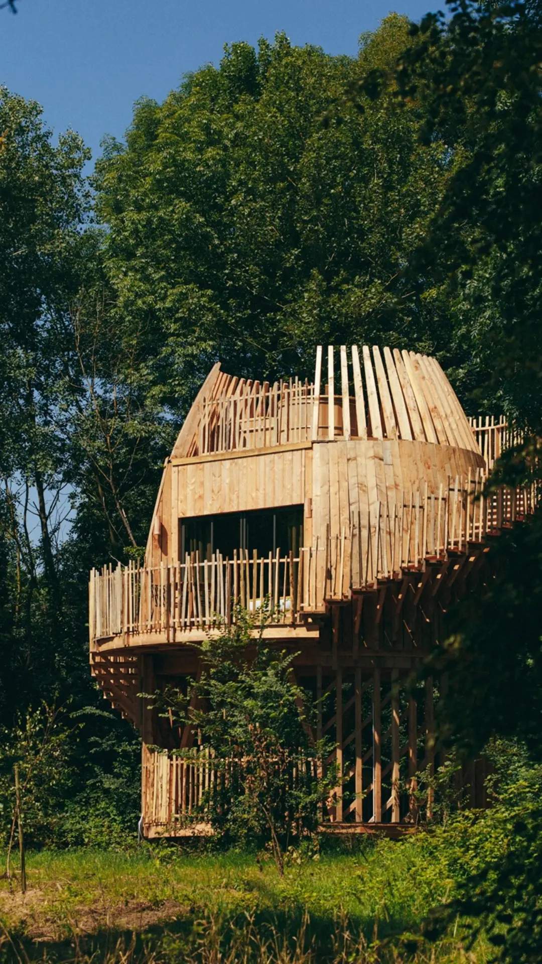 Cabane Spa Roseau | Cabanes des Grands Lacs