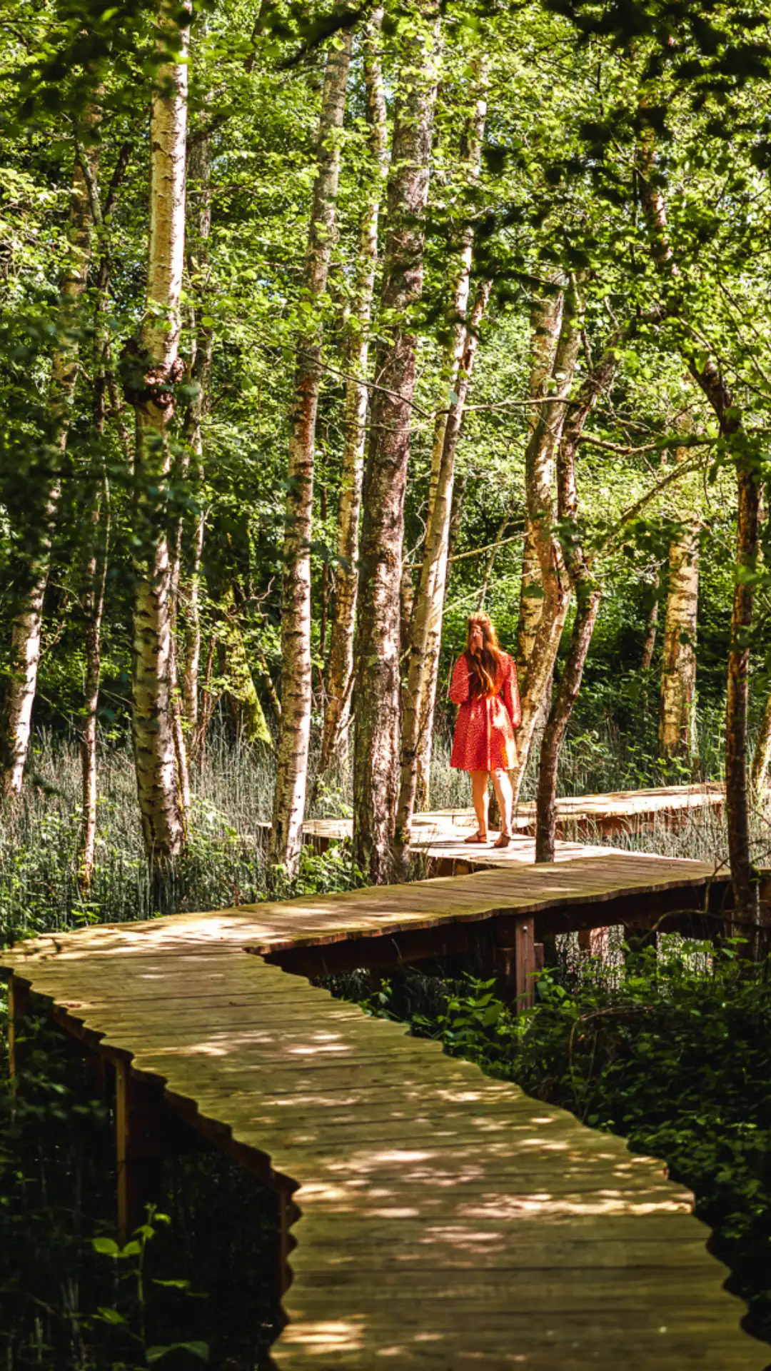 Cabane Spa Immersion | Cabanes des Grands Lacs