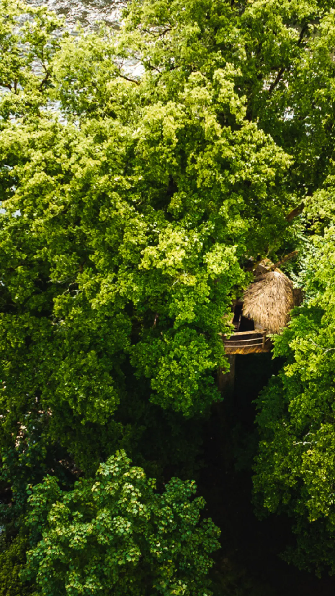 Cabane Extrême | Cabanes des Grands Lacs