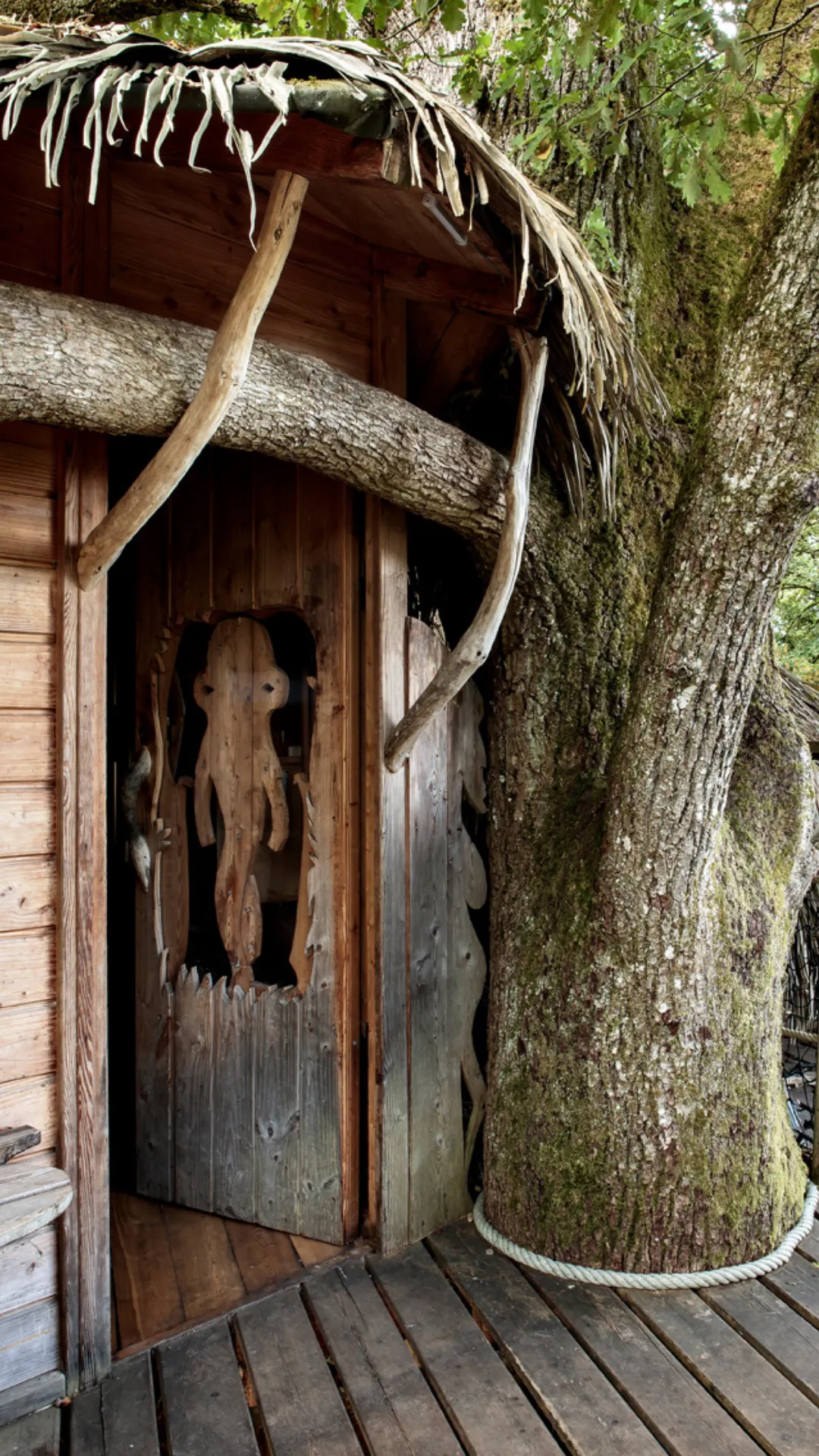 Cabane Amazone | Cabanes Grands Lacs