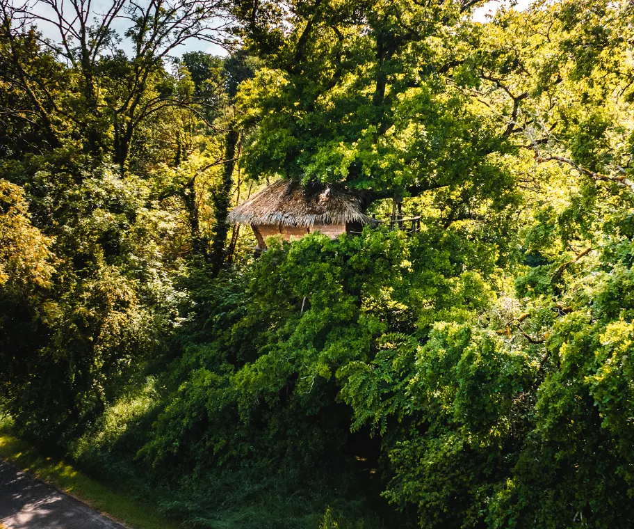 Cabane Extase - Coucoo Cabanes - Cabanes des Grands Lacs