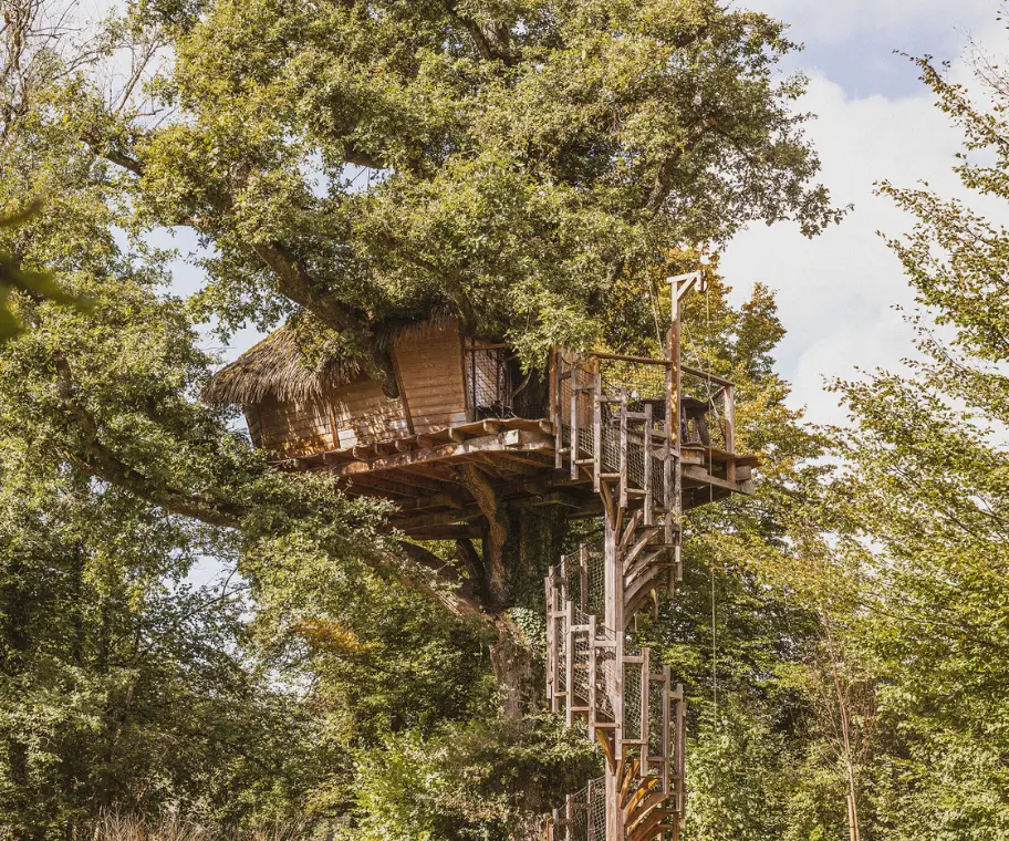 Cabane Amazone - Coucoo Cabanes - Cabanes des Grands Lacs