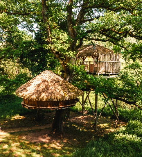 Cabane Spa Rêveuse | Cabanes des Grands Lacs | avec Bain Nordique