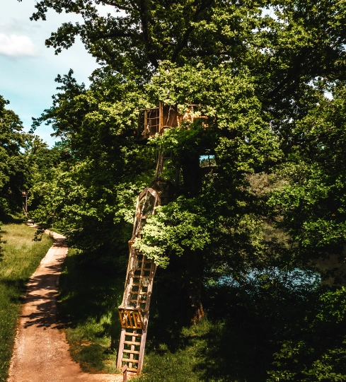 Evasion Cabin | Cabanes des Grands Lacs | Perched