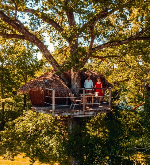 Cabane Reflet | Cabanes des Grands Lacs | Perchée dans les Arbres