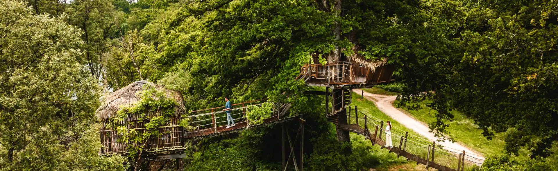 Cabane Spa Refuge | Cabanes Grands Lacs | Perchée dans les Arbres
