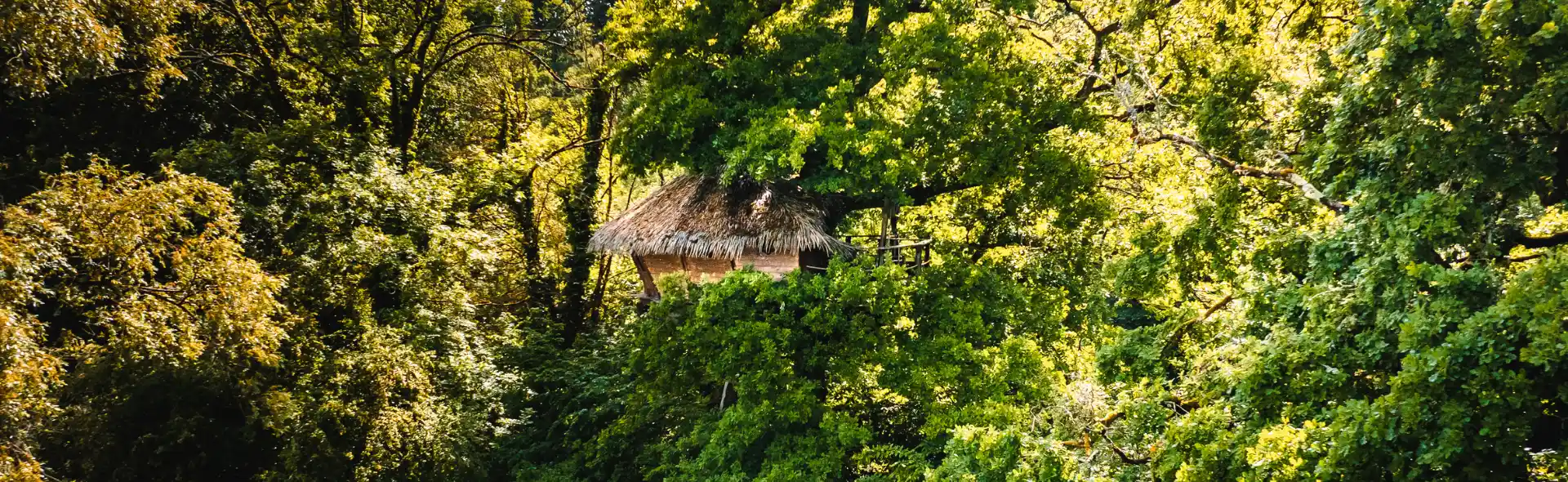 Cabane Extase | Cabanes des Grands Lacs | Perchée dans les Arbres