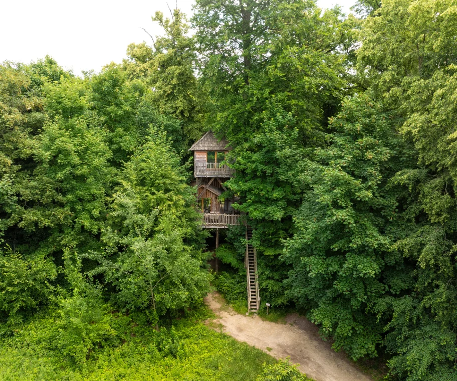 Tree house - Coucoo Cabanes - Cabanes des Grands Reflets
