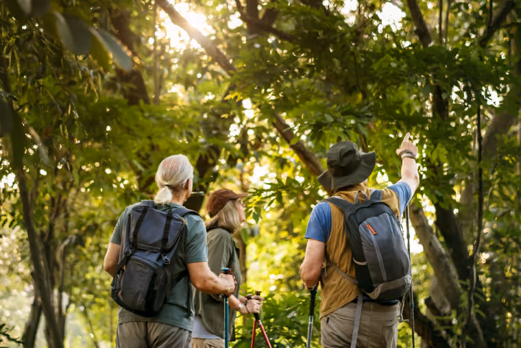 Hiking