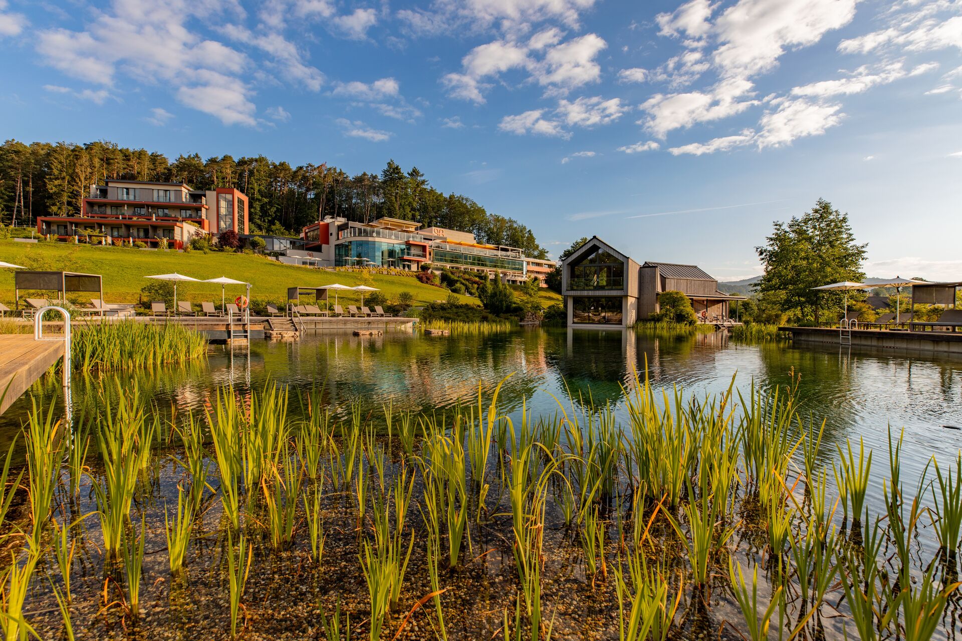 Connecting superior wellness hospitality through integrated technology
