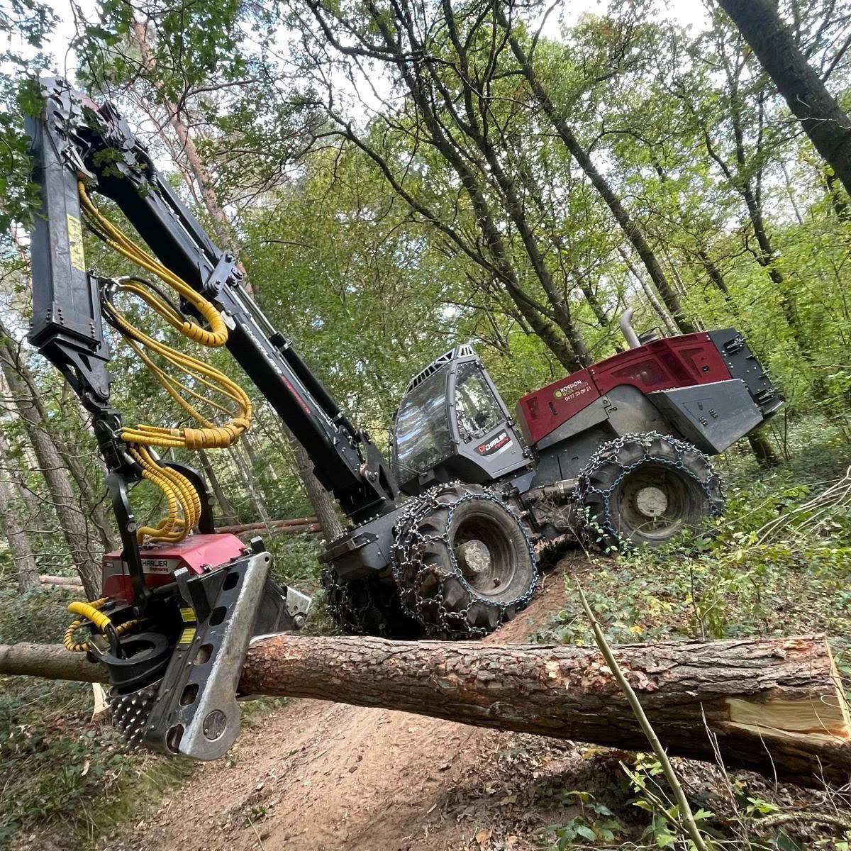 machine travail dans les forets scierie 