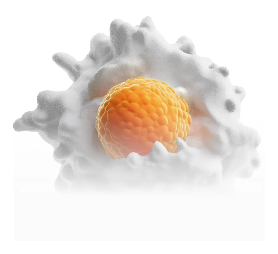 A close-up of an orange sphere, resembling a tumor cell, enveloped by a white, textured immune cell.