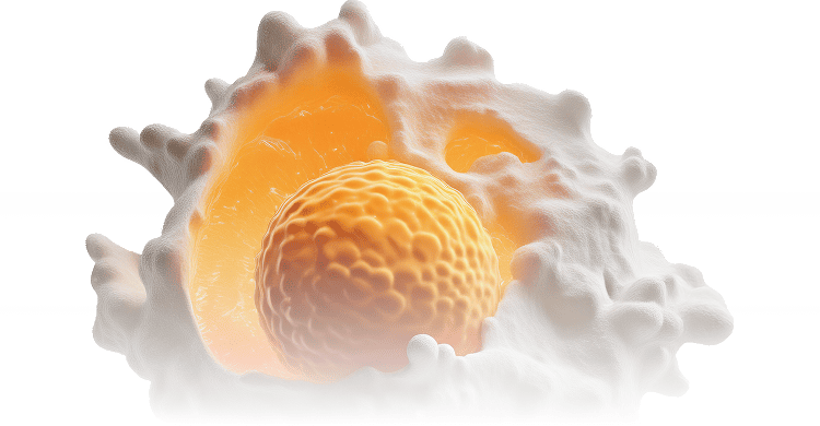 Microscopic view of a cell surrounded by a textured, irregular white membrane, featuring a prominent, bright orange nucleus.