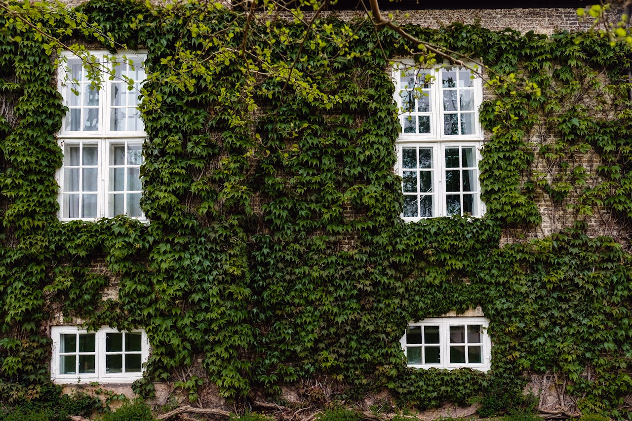 Header image