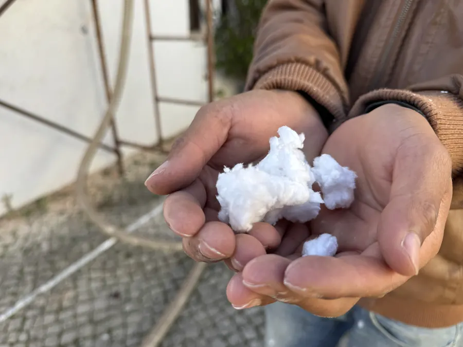Mineral wool flakes in a hand, ready to be blown in
